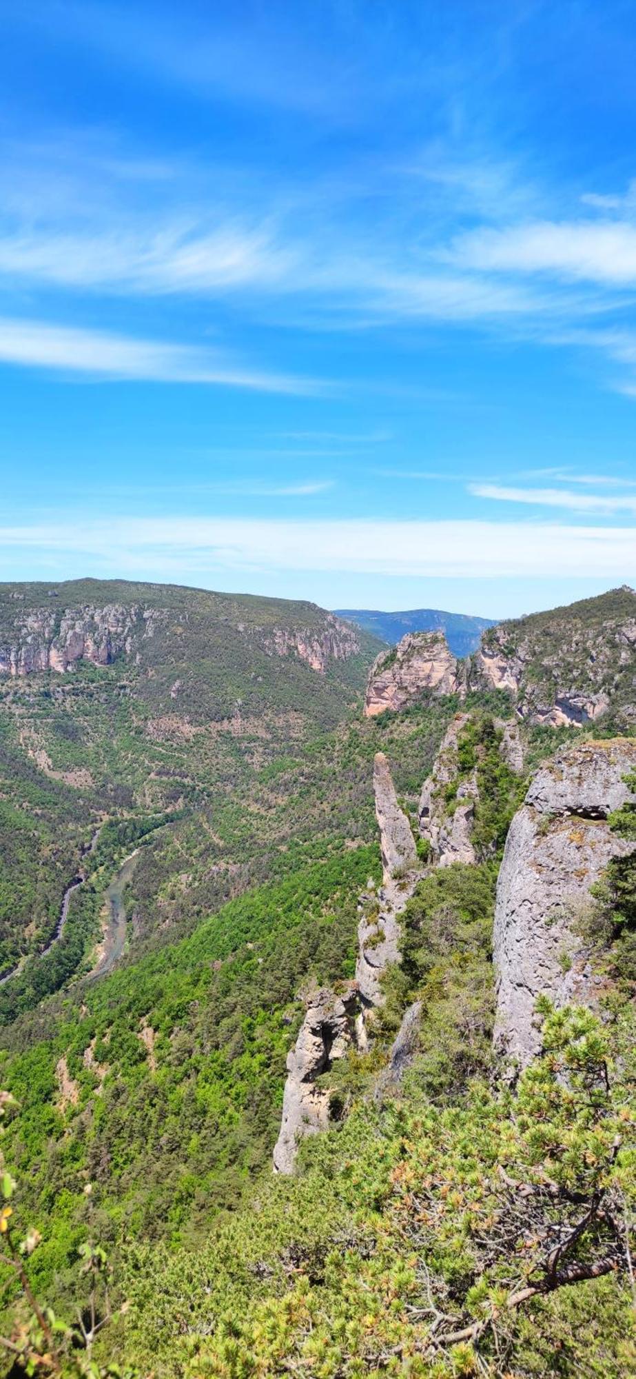 Sous Les Toits De Millau - Appartement Cosy Et Chaleureux Bagian luar foto